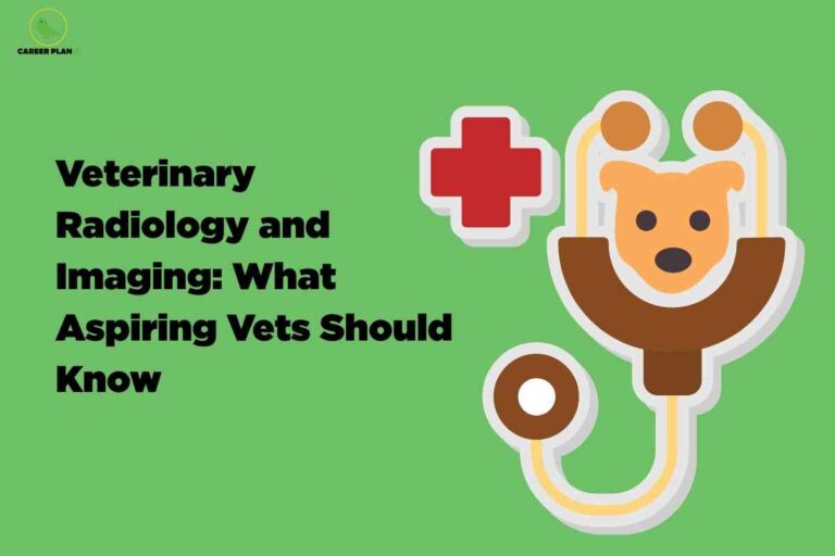 A digital illustration features a light green background with the title "Veterinary Radiology and Imaging: What Aspiring Vets Should Know" written in bold black text on the left side of the image. In the upper left corner, a small logo and the words "Career Plan" are visible. On the right side, there is a stylized icon of a brown stethoscope, where the earpieces resemble the head of a dog. Next to the stethoscope is a red medical cross symbol outlined in white, representing veterinary healthcare. The overall design uses simple, flat shapes and bright colors to communicate information about veterinary radiology and imaging for students or aspiring veterinarians.