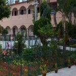 Bhatter College, Dantan