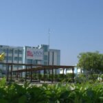 MVN University, Palwal