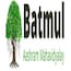 Batmul Aashram Mahavidyalay, Mahapalli