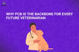 Veterinarian examining a dog illustrating importance of PCB for veterinary, highlighting role of biology, chemistry, and physics in animal healthcare careers