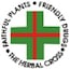 Herbal Cross Institute of Pharmacy, Cuttack